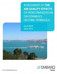 Assessment of the air quality effects of pedestrianization on Istanbul's Historic Peninsula  